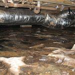 #2 - Wet Crawl Space