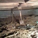 #3 - Creaky/Bouncing Floor