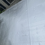 Roof coating 4
