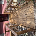 Staining