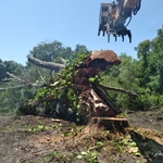 Land Clearing
