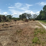 Land Clearing