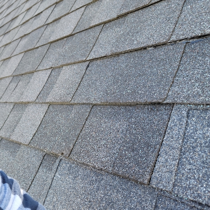 Asphalt Shingle Repair.