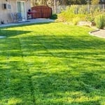 Lawn Maintenance
