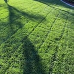 Lawn Maintenance