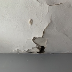 Kitchen with Water Damage