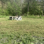 Yard cleanup and Mow
