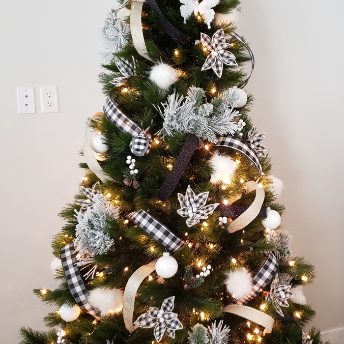 Black and White Checkered Tree