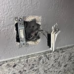 switch repair