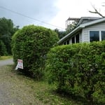 Trimming Hedges
