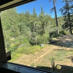 Clean Tub Window