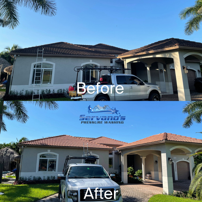 Roof soft wash