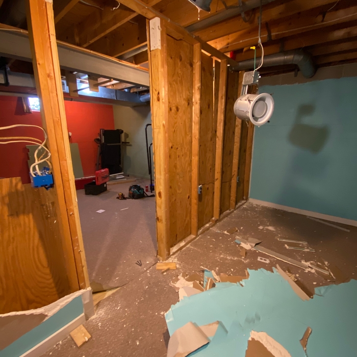Basement Remodel