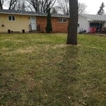Lawn care & Maintenance