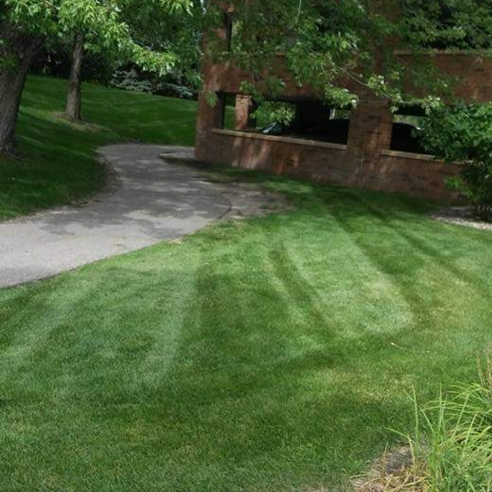 Lawn care & Maintenance