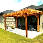 Carpenter Bee Borate Treatment