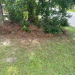 lawncare
