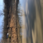 Lenord Mountain pond