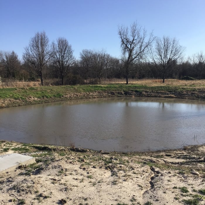 New pond and grading work