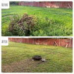 before&after
