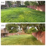 before&after