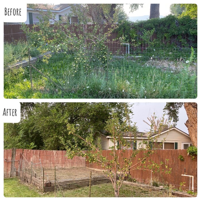 before&after