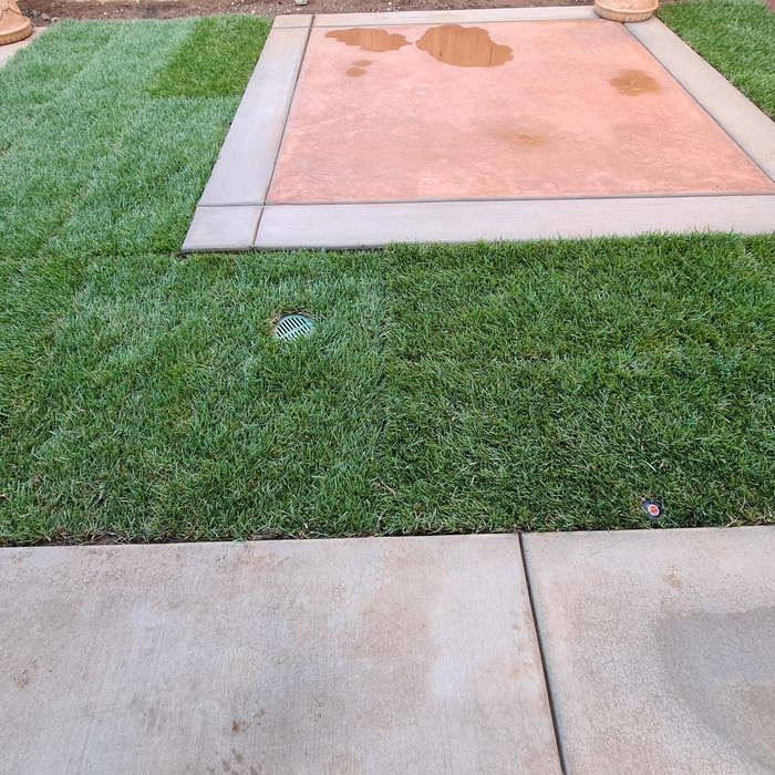 Sprinkler & lawn installation