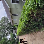 Trimming service