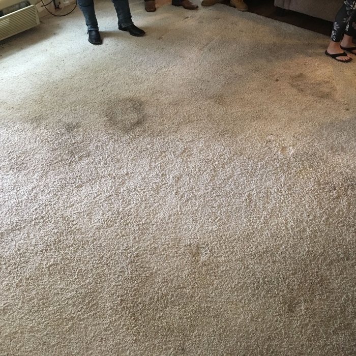Stain Removal Before