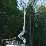 Dead Ash Removal