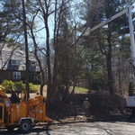 Cleanup Along Curb