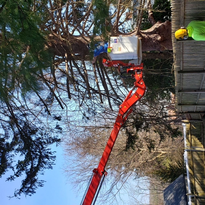Trim over Fence
