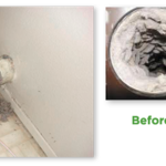 Dryer Vent cleaning