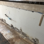 Mold Damage