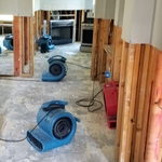 Tear Out for proper rebuild