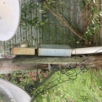 Old 200amp Service