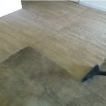 heavily soiled carpet removal service