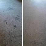 spot treatment removal services
