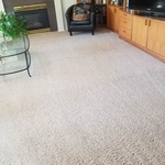 Living room carpet cleaning