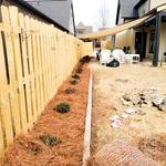Laying straw
