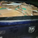 Cardboard