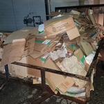 Cardboard