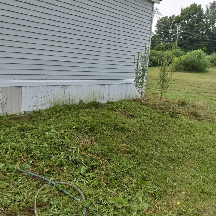 Backside of house