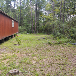 Back yard.