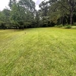 Land clearing