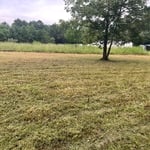 Land clearing
