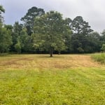 Land clearing