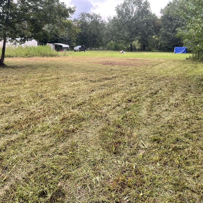 Land clearing