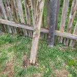 Fence Post Repair