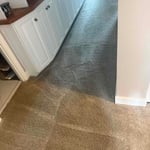 Carpet Cleaning